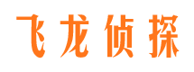 德州市侦探调查公司